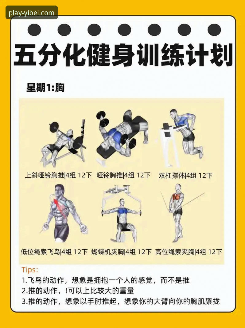 5个维度解析易倍体育平台怎么样必备：从新手到高手的完整指南